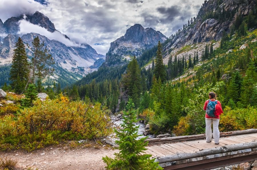 grand-teton-wiktor